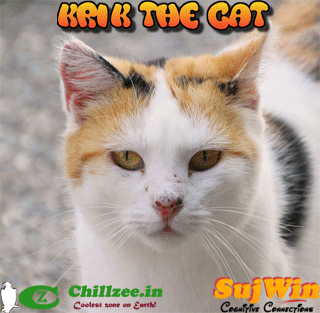 Krik the Cat