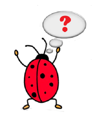 Question for a  ladybug