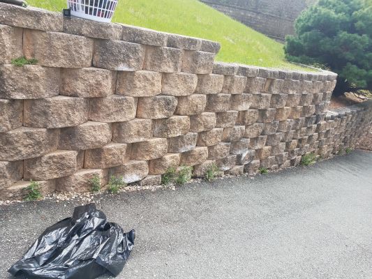 02.weed Removal