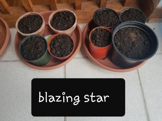 gardening05 3m