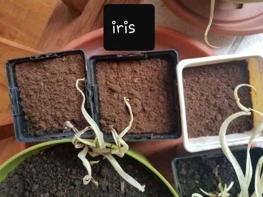 gardening05 4m
