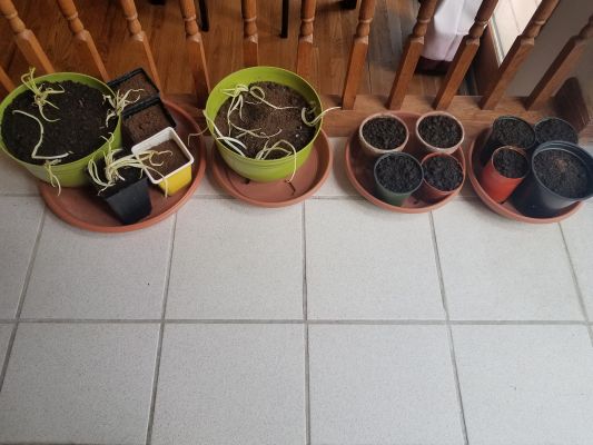 gardening05 5m