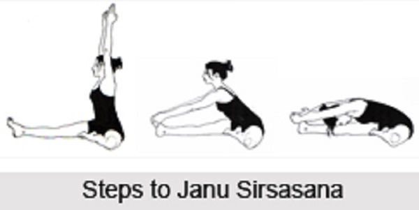 Janusirsasana Janusirsasana