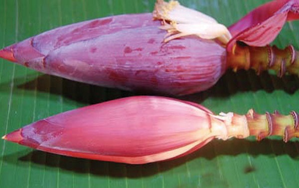 Banana flower Banana flower