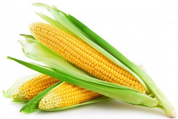 Corn Corn