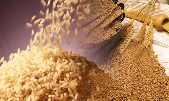 riceWheat riceWheat