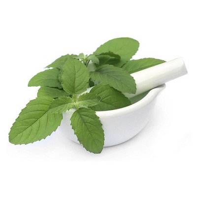 Tulsi Tulsi