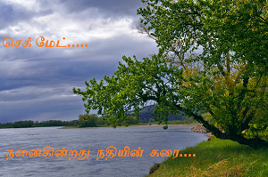 Nanaikindrathu nathiyin karai