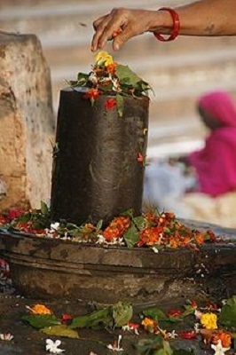 Sivalingam