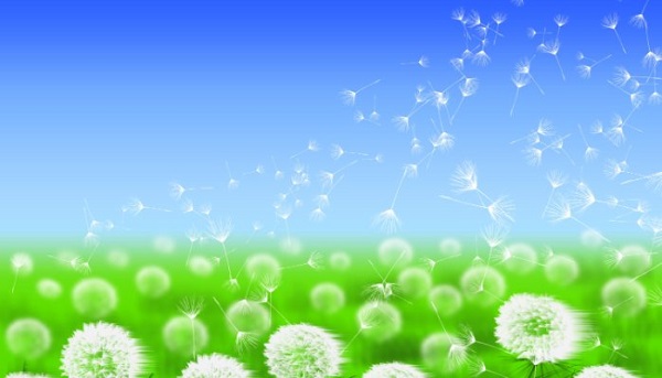 breeze