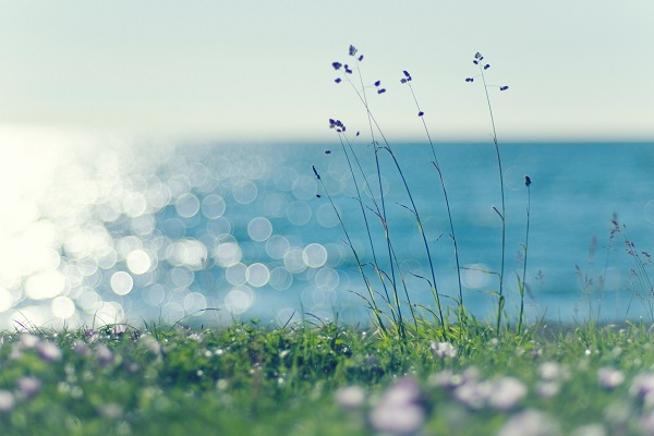 Breeze