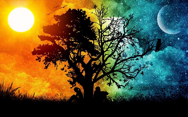 Day and Night