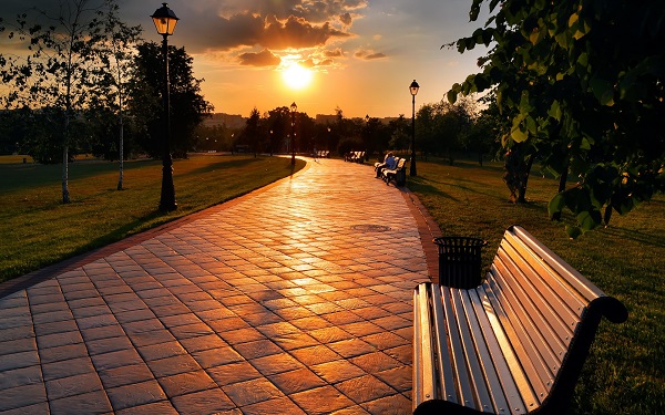 Evening