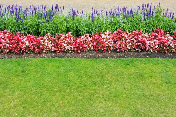 Lawn