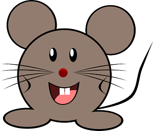 Mouse