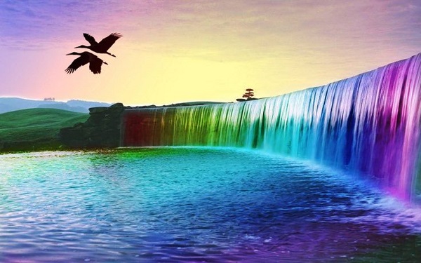 Nature beauty