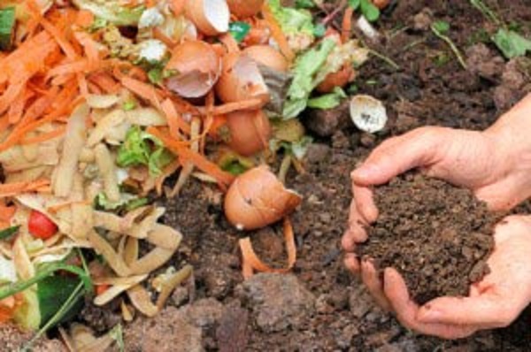 Natural fertilizer