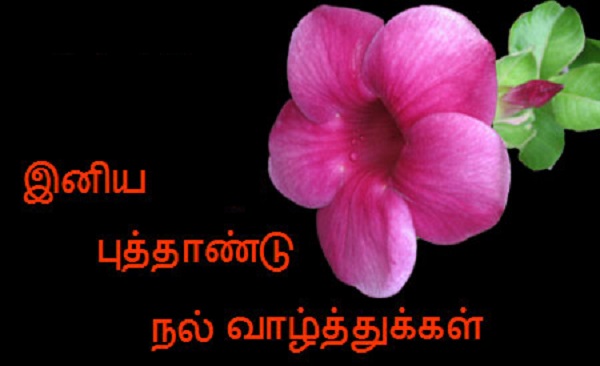 New year