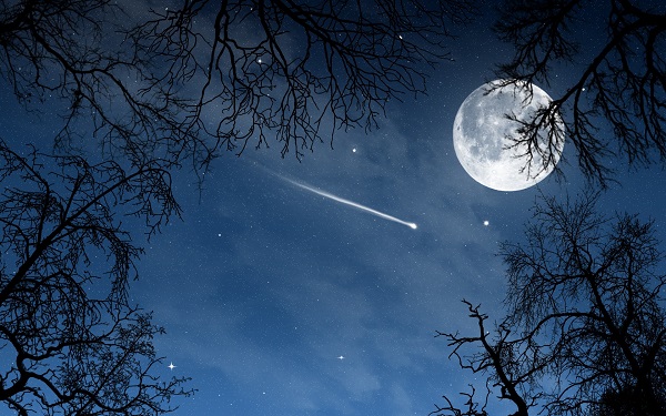 night