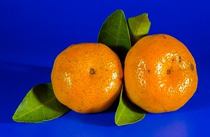 Oranges