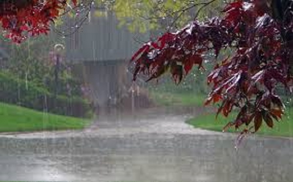 Rain