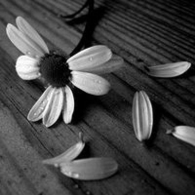 Sad Flower