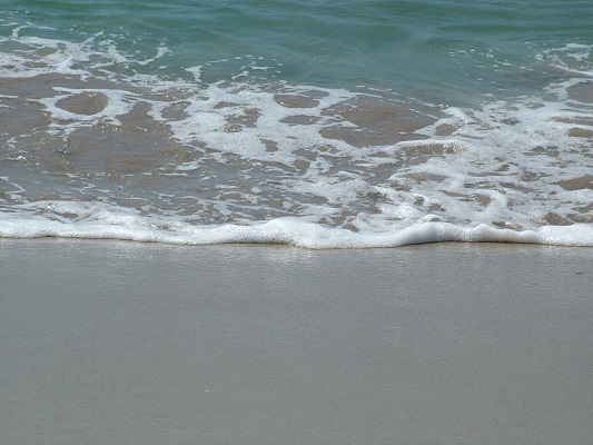 Shore