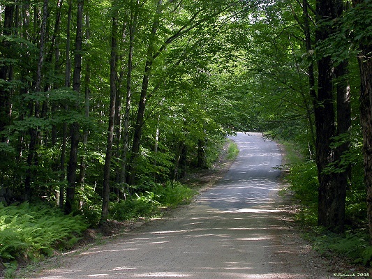 Street