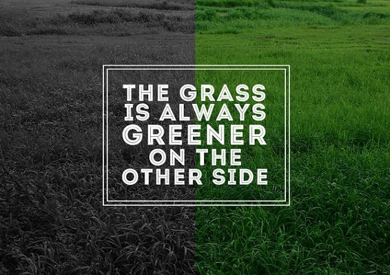 Grass is greener