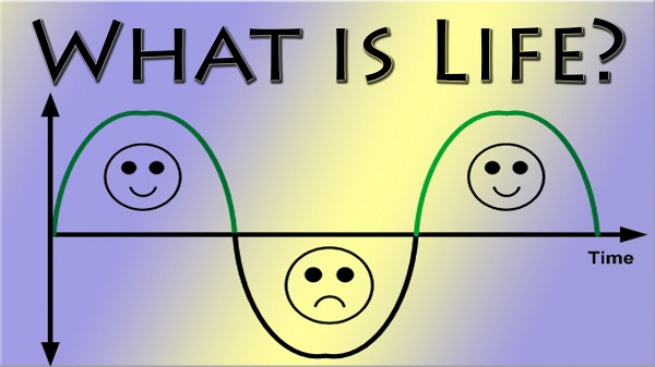 Life
