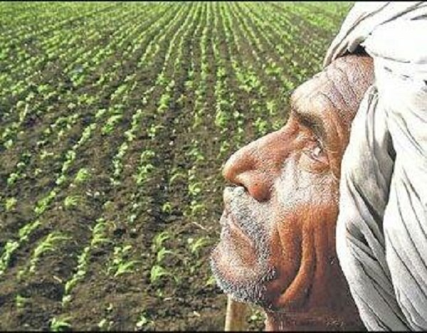 farmer farmer
