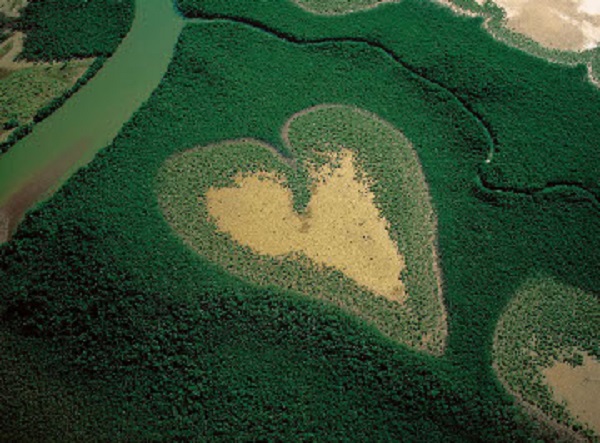 heartLand