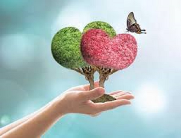 hearts
