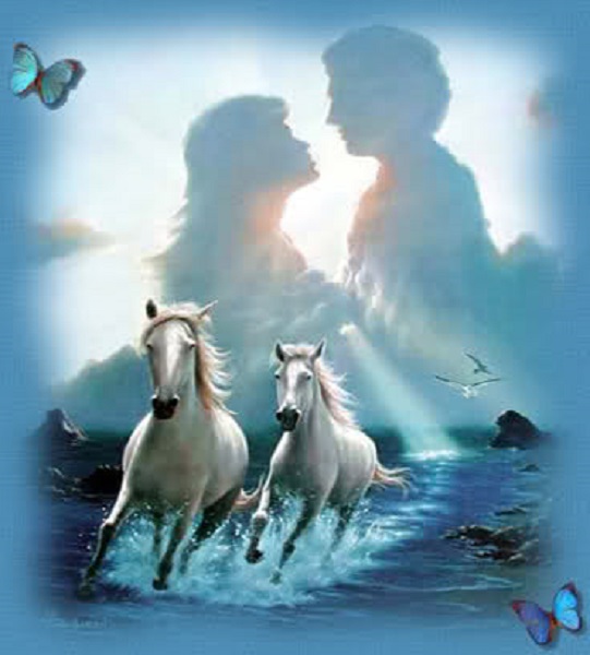 dreams dreams