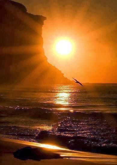 sun
