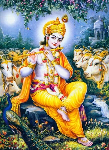 krishna