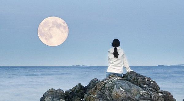 moonFriend