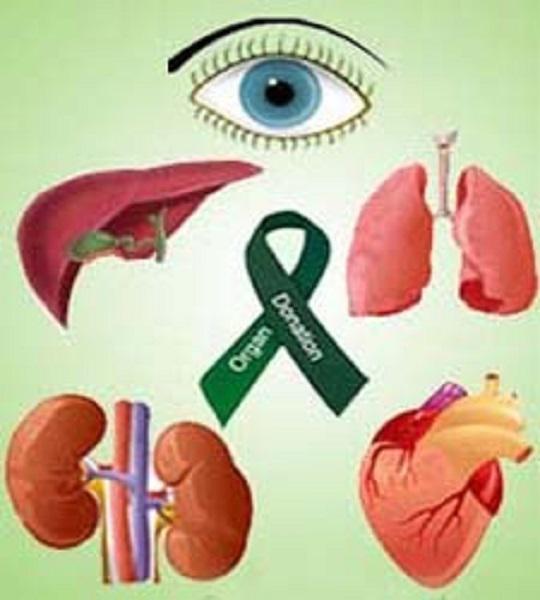organ-donation