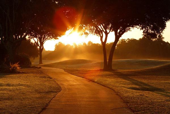 "sunrise