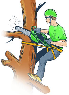 tree-trimming