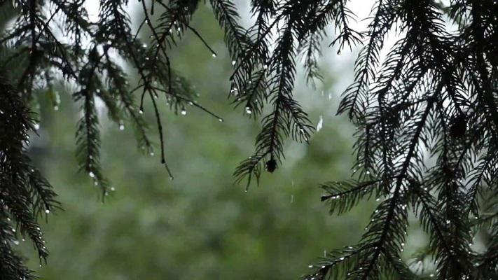 waterdrops
