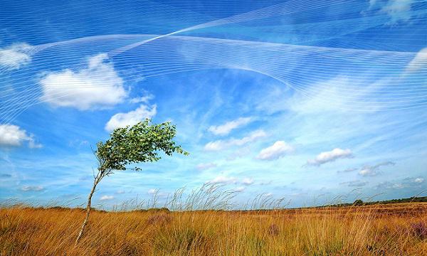 wind