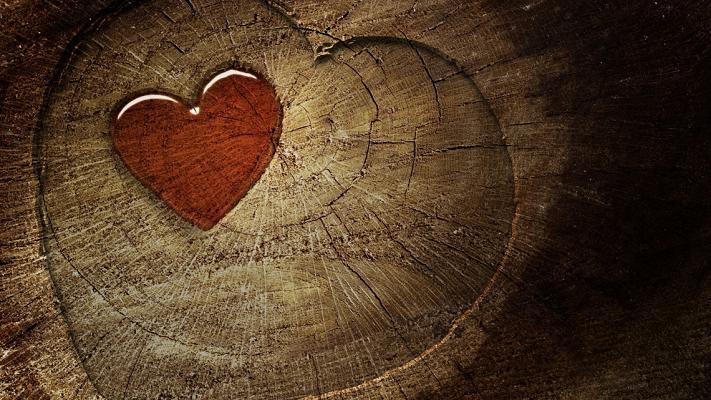 wood-heart