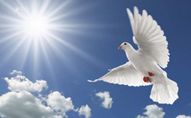 world-peace