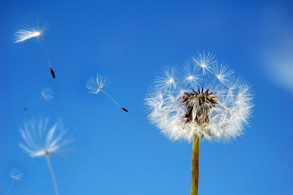breeze breeze