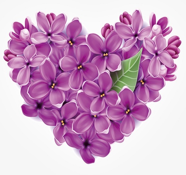 flowerHeart flowerHeart