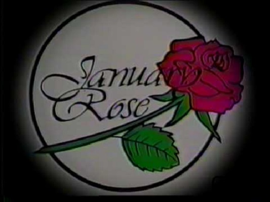 rose rose