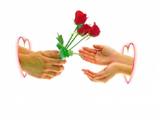 loveRose loveRose