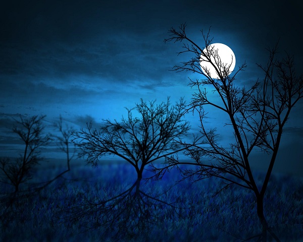 midnight midnight