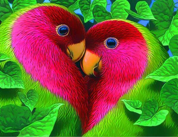 love love